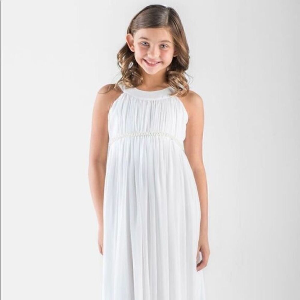 Sleeveless Chiffon NWT Dress (7)